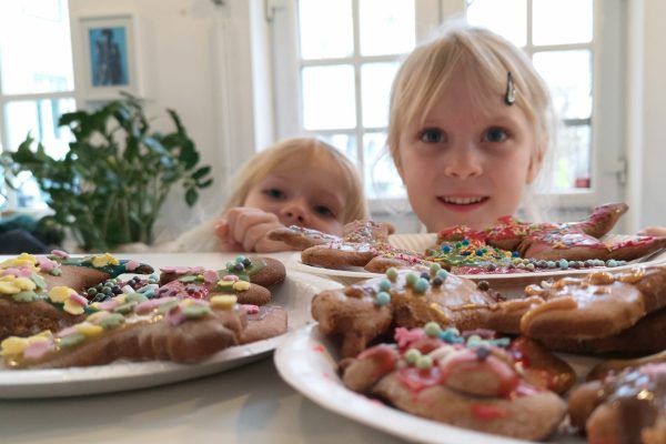 66862721_393292061296807_4824468254573461504_n