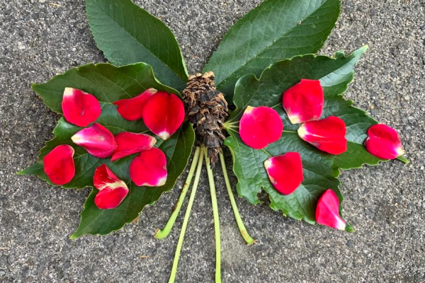 AB IN DIE WILDNIS_www.labacamps.at_007