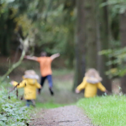 Ab in die Wildnis_LABA Kreative Kindercamps in Wien_www.labacamps.at_03