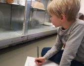 LABA-Kreative-Kindercamps-in-Wien-www.labacamps.at_174