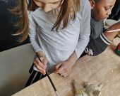 LABA-Kreative-Kindercamps-in-Wien-www.labacamps.at_220