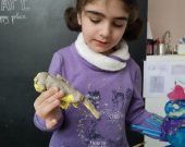 LABA-Kreative-Kindercamps-in-Wien-www.labacamps.at_241