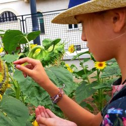 LABA Kreative Kindercamps in Wien_19